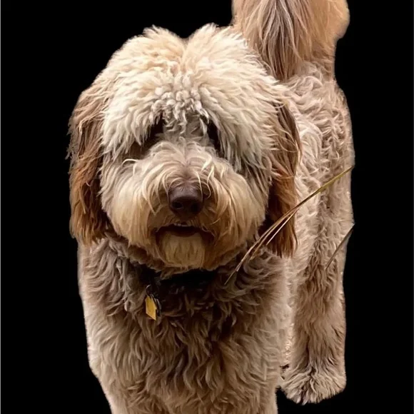 Selecting 1 customers for free gift. - Picture 1 of 1